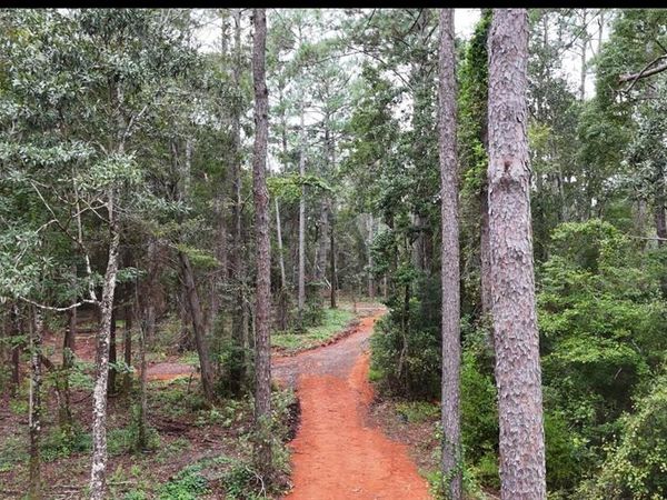 12234 Bay Street, Fairhope, AL 36532