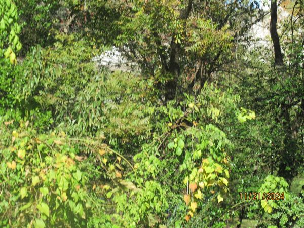 0 CLUB MANOR, Maumelle, AR 72113