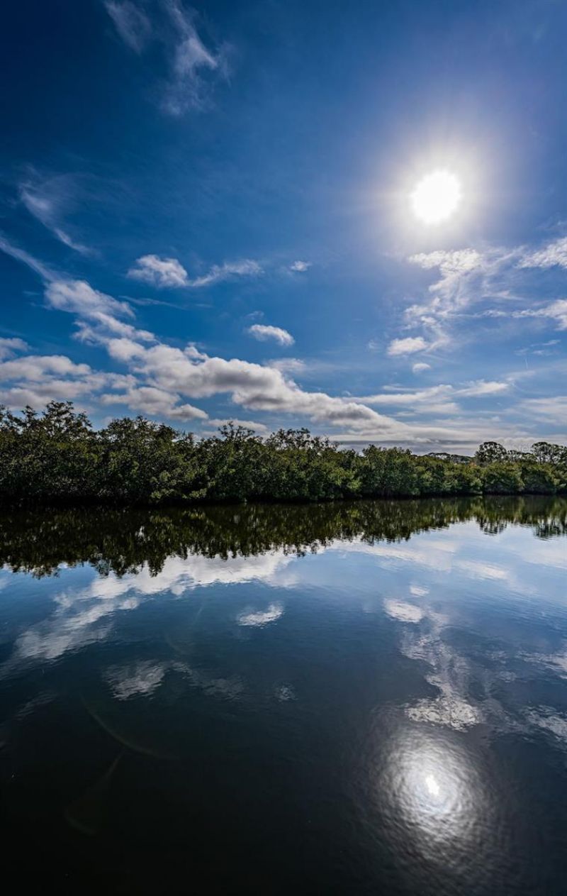 624 N Mayo Street, Crystal Beach, FL 34681 Photo