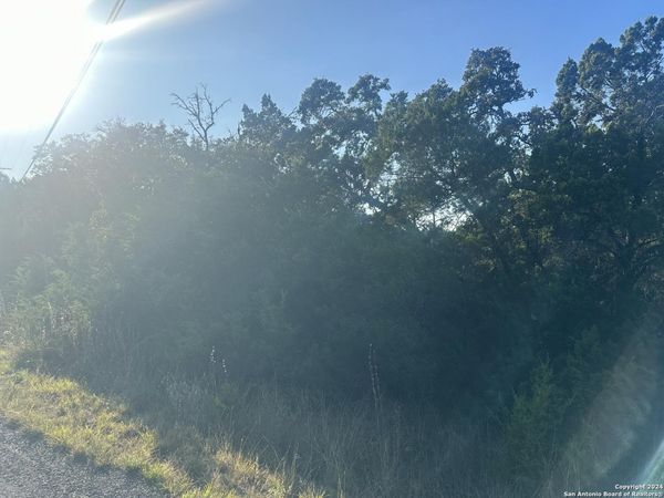 2377 BOBCAT DR, Bulverde, TX 78163