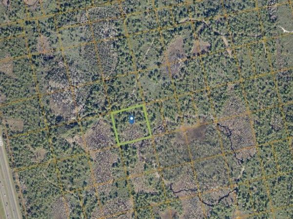 COUNTY LINE DITCH RD, Oak Hill, FL 32759