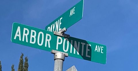 Arbor Pointe, Gustine, CA 95322 Photo