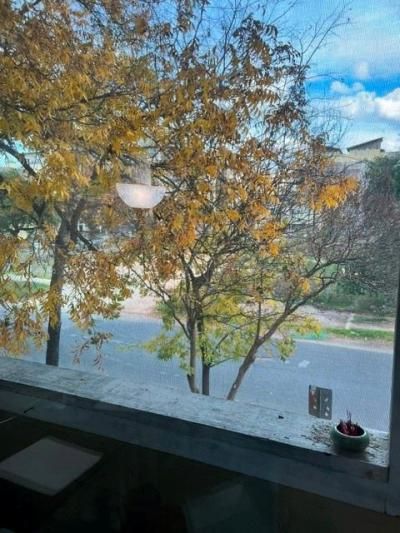 2510 San Gabriel St, Unit 204, Austin, TX 78705 Main Photo