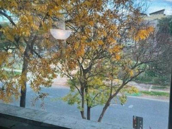 2510 San Gabriel ST, Unit 204, Austin, TX 78705