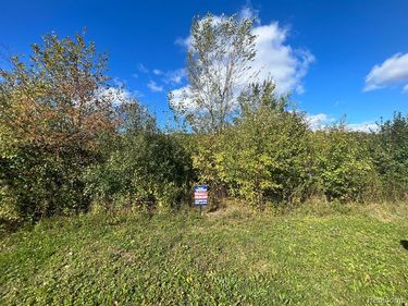 4417 MARKET, Genesee Twp, MI 48506