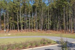 Lot 109 Stewart Landing Drive photo 4
