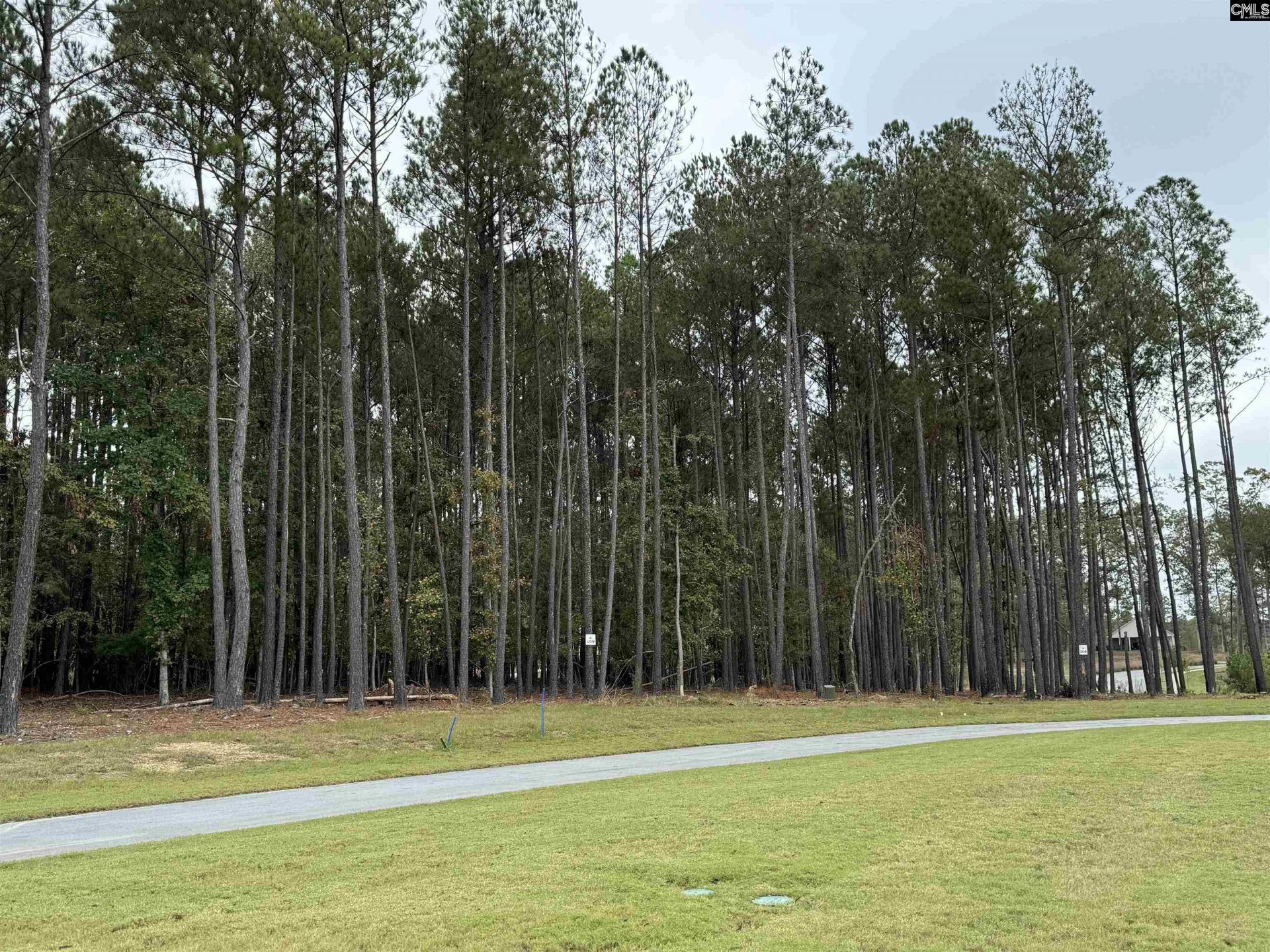 Lot 109 Stewart Landing Drive Photo 6