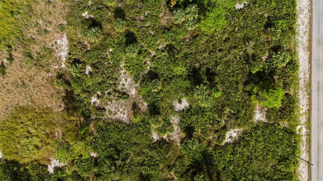 1217 Magnolia Avenue, Lehigh Acres, FL 33972 Photo