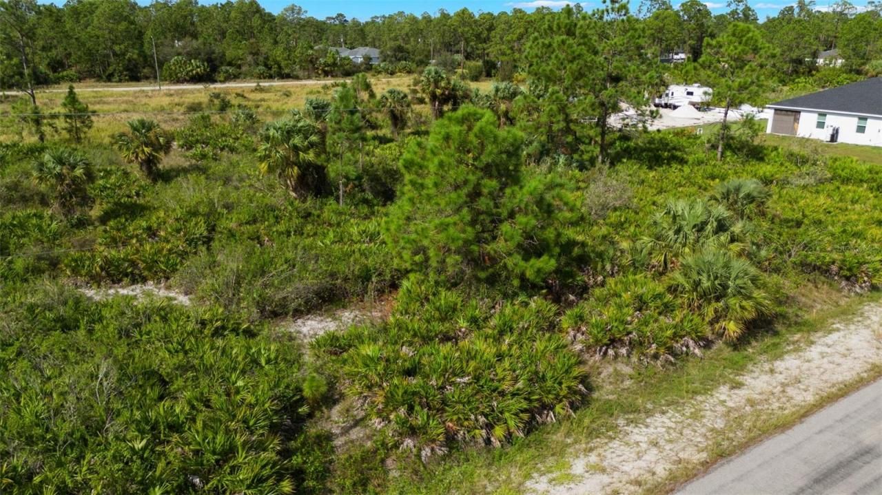 1217 Magnolia Avenue, Lehigh Acres, FL 33972 Photo