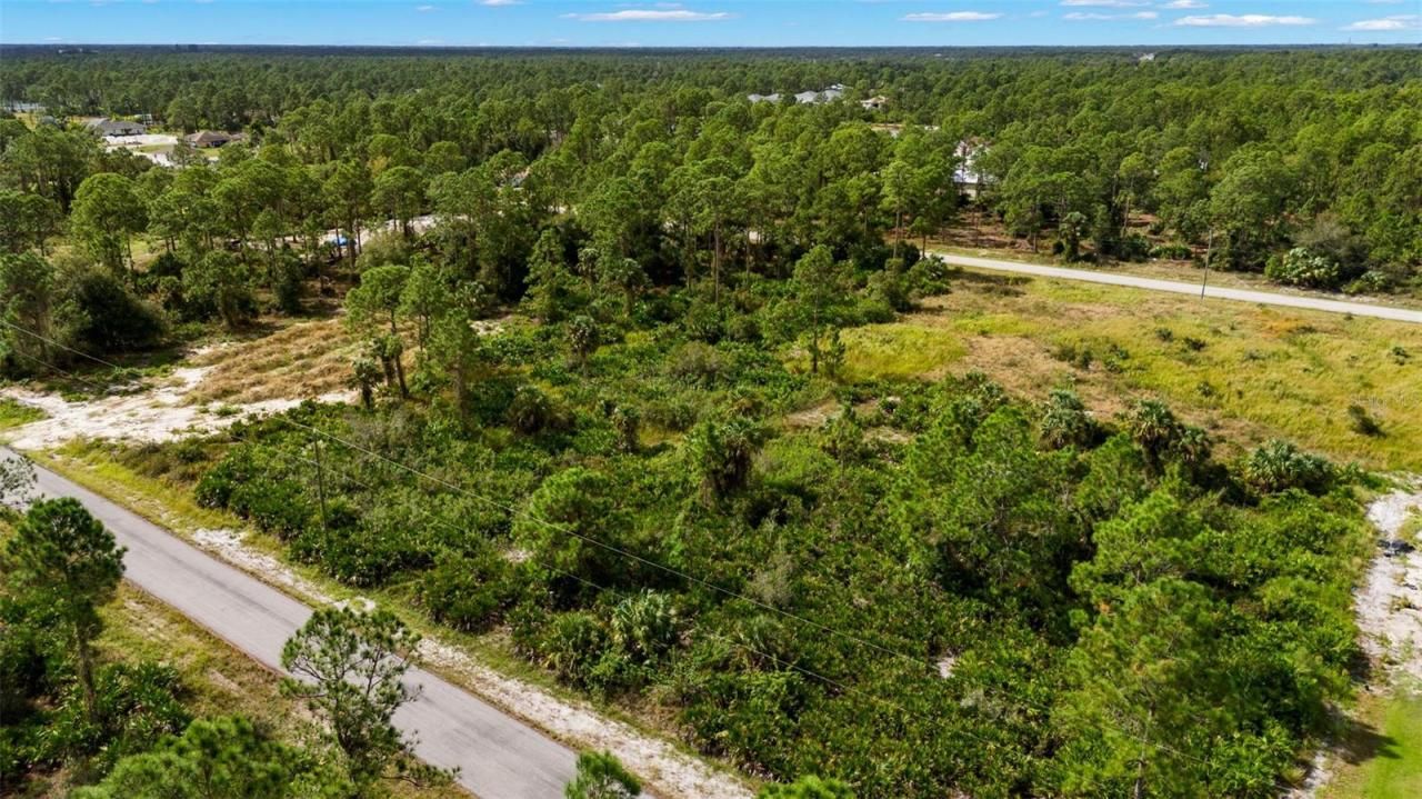 1217 Magnolia Avenue, Lehigh Acres, FL 33972 Photo