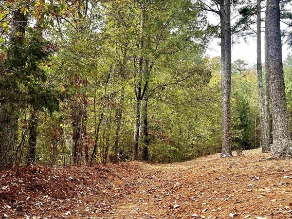 6408 Trussville Clay Road, Trussville, AL 35173