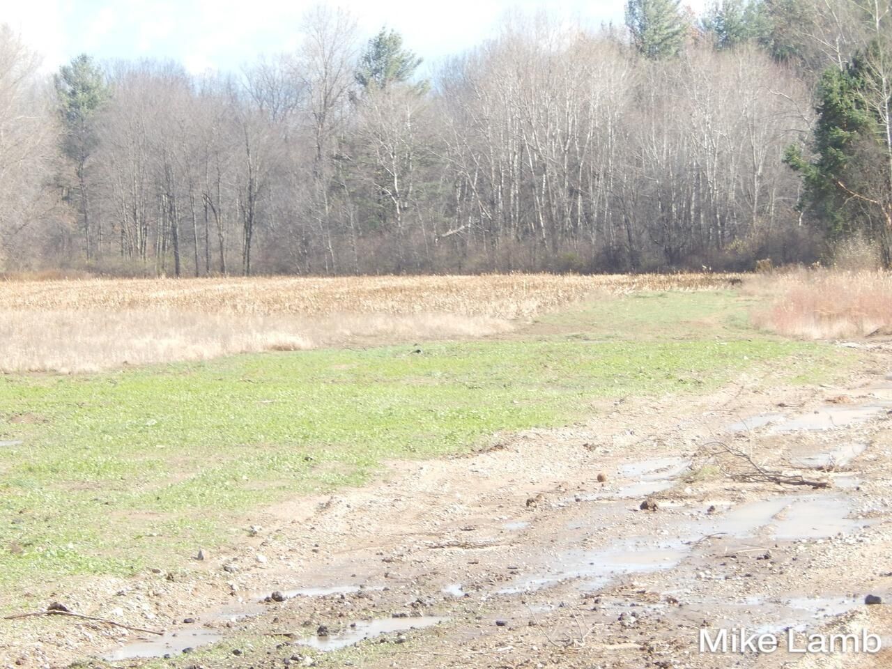 9340-4 Sparta Avenue Nw, Sparta, MI 49345 Main Photo