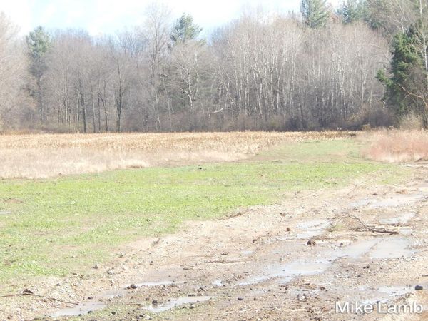 9340-4 Sparta Avenue NW, Sparta, MI 49345