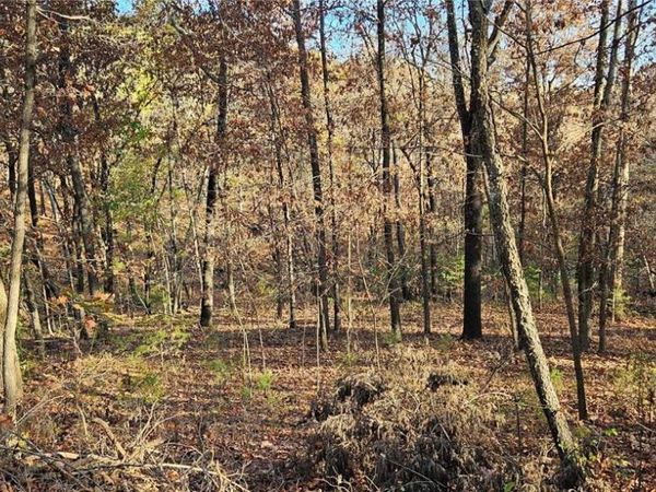 10768 Wooton Road, West Fork, AR 72774