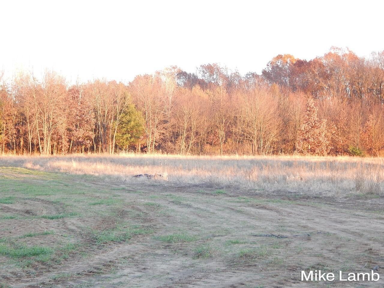 9340-5 Sparta Avenue Nw, Sparta, MI 49345 Main Photo