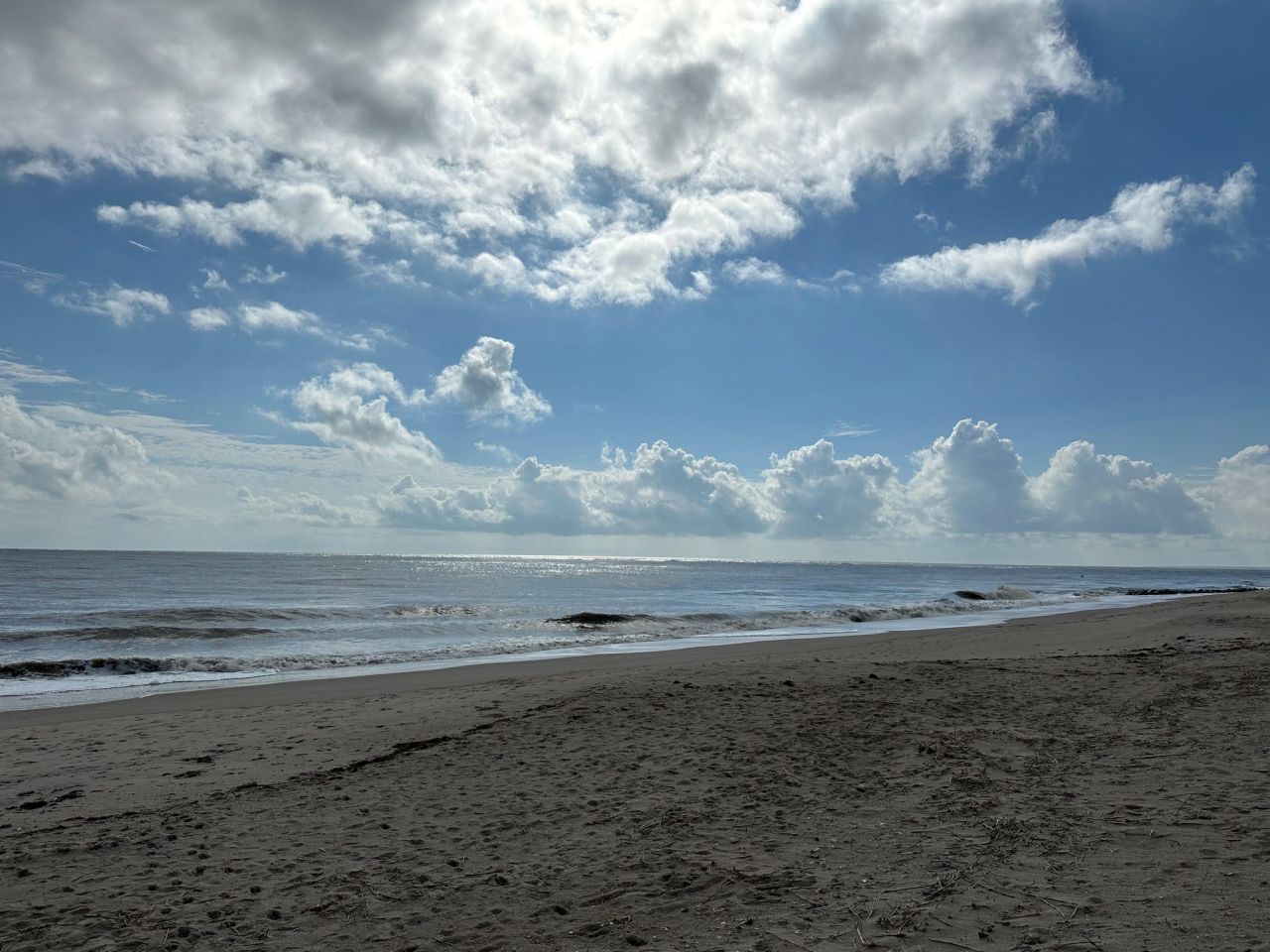 2302 Palmetto Boulevard Photo 40