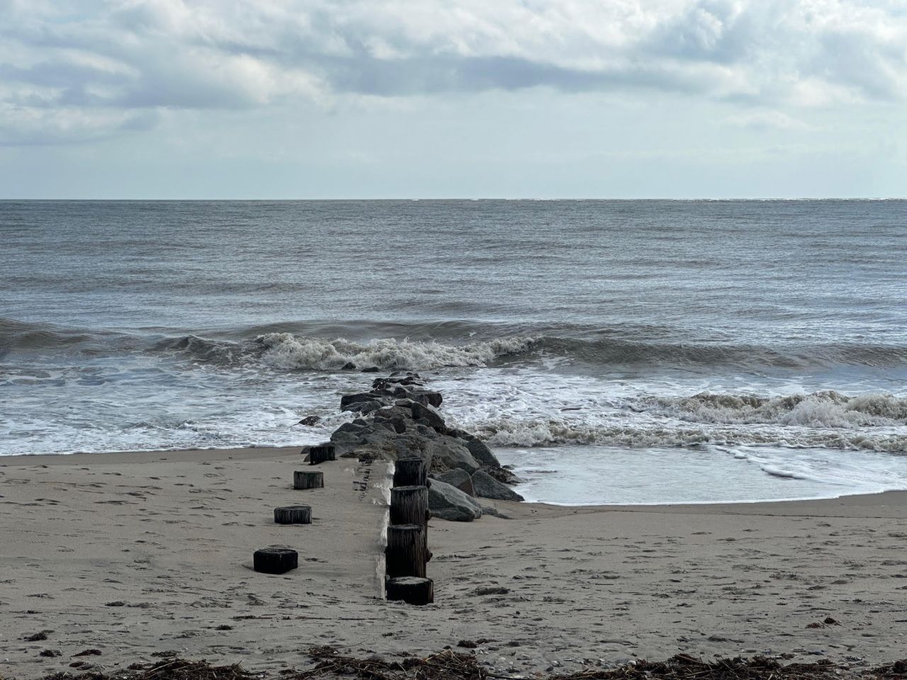 2302 Palmetto Boulevard Photo 42