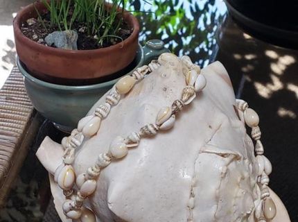 360 Idaho Maryland Rd, Grass Valley, CA 95945 Photo