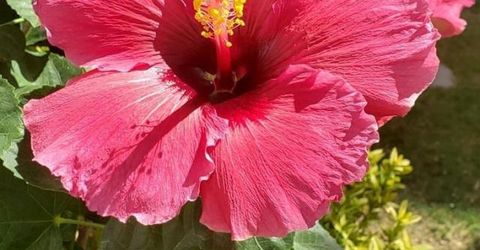 360 Idaho Maryland Rd, Grass Valley, CA 95945 Photo