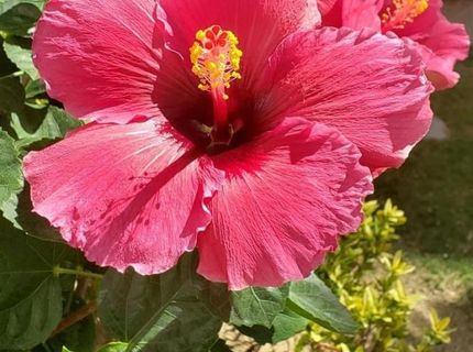 360 Idaho Maryland Rd, Grass Valley, CA 95945 Photo