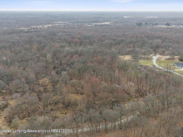 11315 Tamarack Trail, Bath, MI 48808