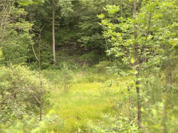 4296 Stramba Road, Cincinnatus, NY 13040