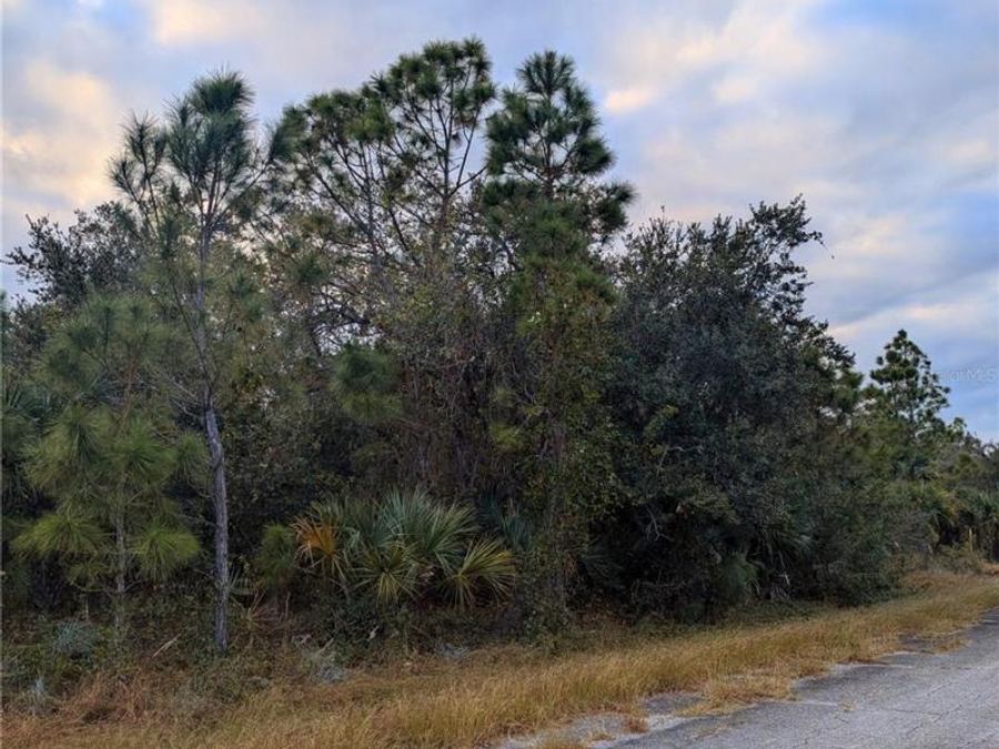Property Image 6