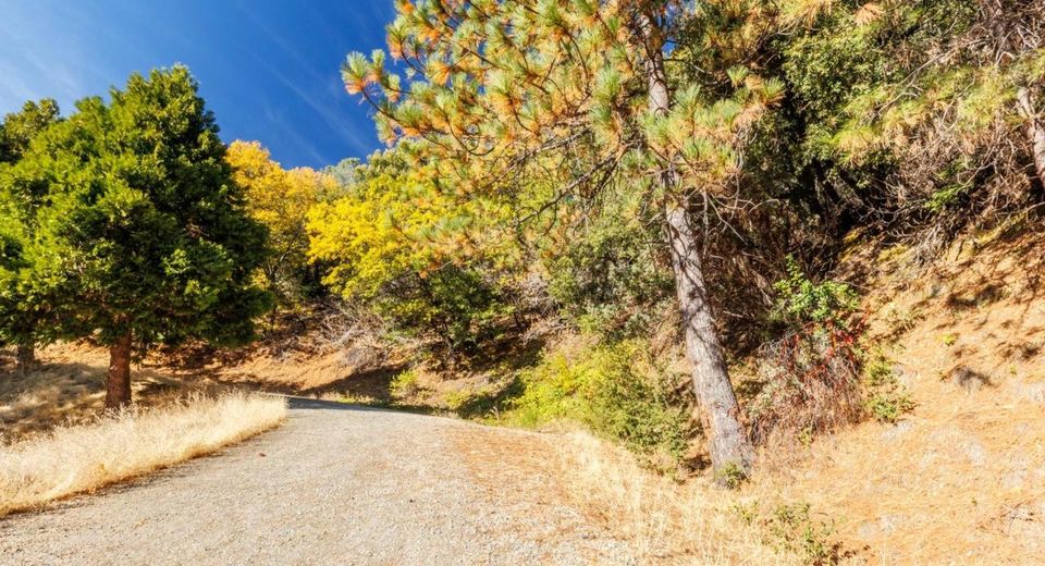 10-acres Freegold Dr, Camino, CA 95709 Photo