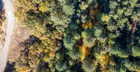 10-acres Freegold Dr, Camino, CA 95709 Photo