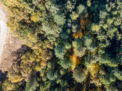 10-acres Freegold Dr, Camino, CA 95709 Photo