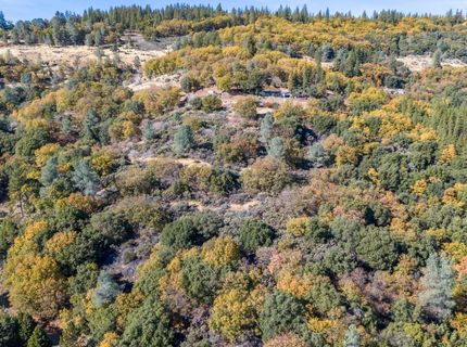 10-acres Freegold Dr, Camino, CA 95709 Photo