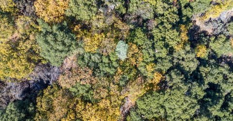 10-acres Freegold Dr, Camino, CA 95709 Photo