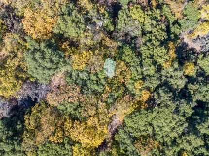 10-acres Freegold Dr, Camino, CA 95709 Photo