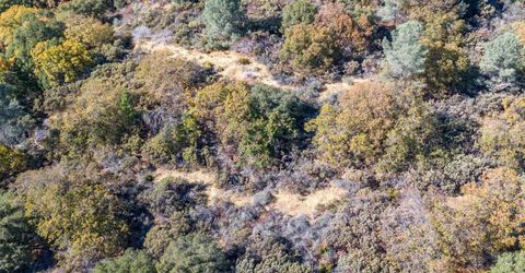 10-acres Freegold Dr, Camino, CA 95709 Photo
