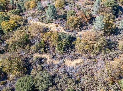 10-acres Freegold Dr, Camino, CA 95709 Photo