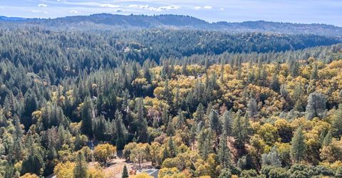 10-acres Freegold Dr, Camino, CA 95709 Photo