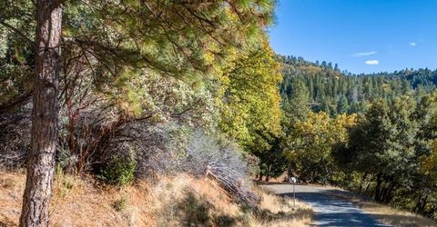 10-acres Freegold Dr, Camino, CA 95709 Photo