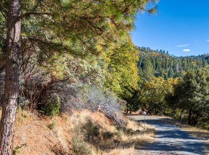 10-acres Freegold Dr, Camino, CA 95709 Photo