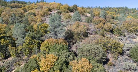 10-acres Freegold Dr, Camino, CA 95709 Photo