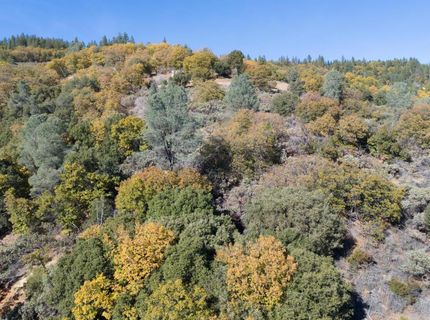 10-acres Freegold Dr, Camino, CA 95709 Photo