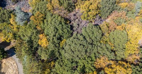 10-acres Freegold Dr, Camino, CA 95709 Photo