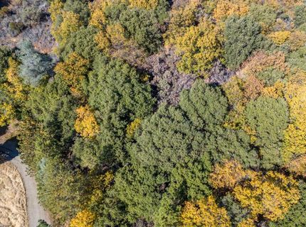10-acres Freegold Dr, Camino, CA 95709 Photo