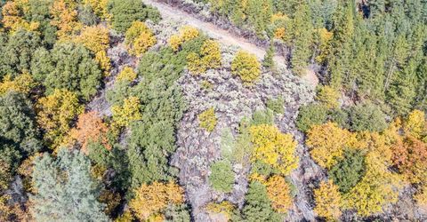10-acres Freegold Dr, Camino, CA 95709 Photo