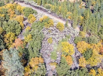 10-acres Freegold Dr, Camino, CA 95709 Photo