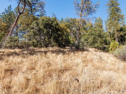 3551 Red Dog Dr, Camino, CA 95709 Photo