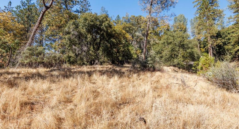 3551 Red Dog Dr, Camino, CA 95709 Photo