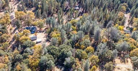 3551 Red Dog Dr, Camino, CA 95709 Photo