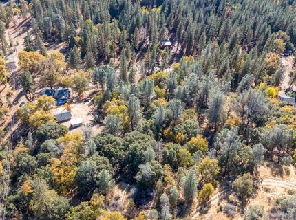 3551 Red Dog Dr, Camino, CA 95709 Photo