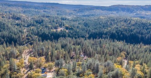 3551 Red Dog Dr, Camino, CA 95709 Photo