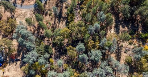 3551 Red Dog Dr, Camino, CA 95709 Photo